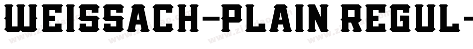 Weissach-Plain Regul字体转换